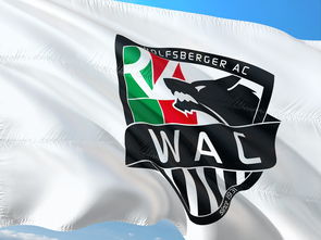 华体会app-国内外足球赛事裁判员交流培训,提升执法水平,足球裁判培训的意义