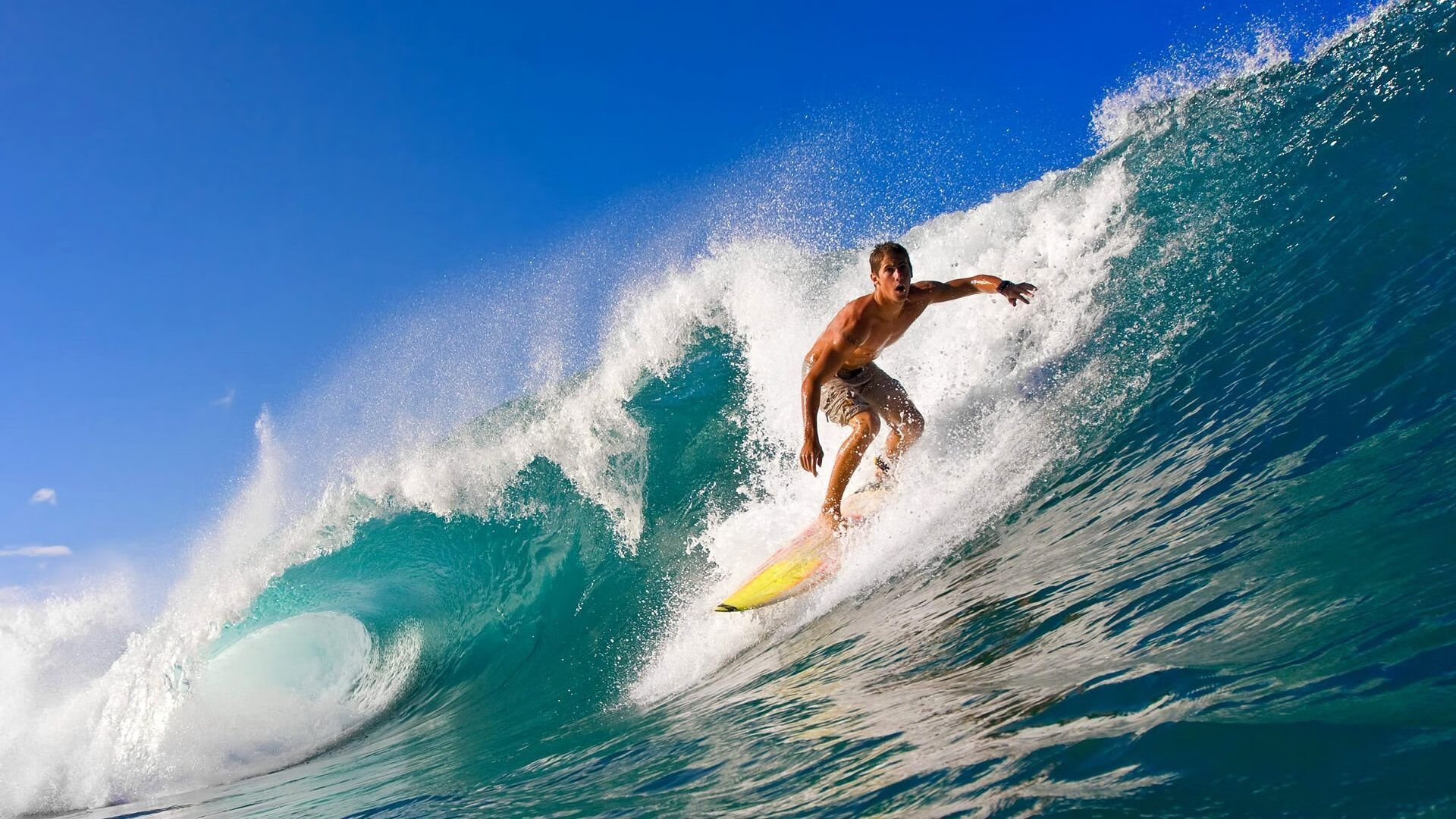 华体会登录地址-德甲攻守结合：节奏快、变化多！，德甲进攻型球队